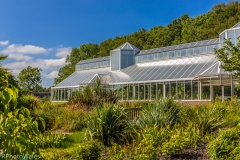 The Glasshouse